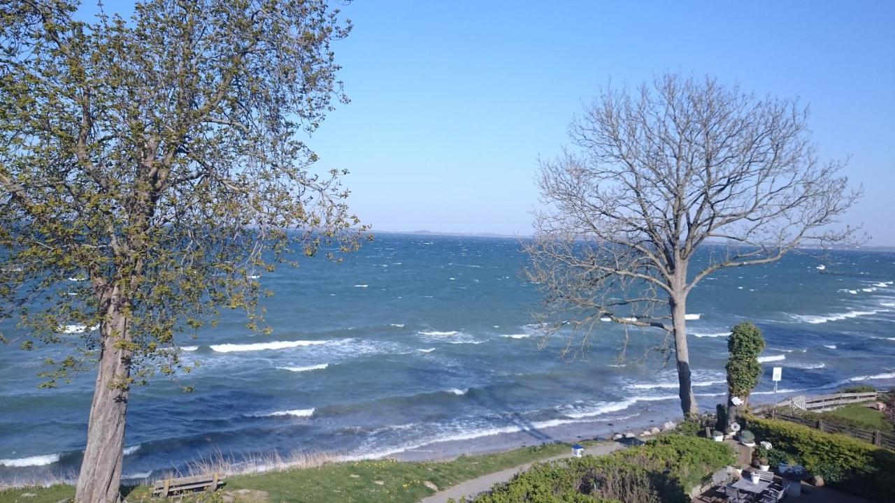 Strandappartement Steinberghaff "Zur Birk" Mit Meerblick Steinberg  Eksteriør bilde