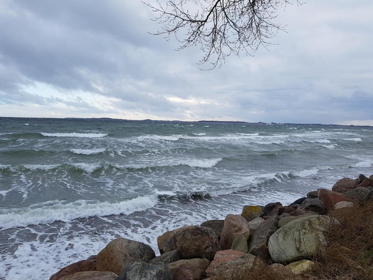 Strandappartement Steinberghaff "Zur Birk" Mit Meerblick Steinberg  Eksteriør bilde